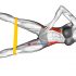 Roll Upper Back