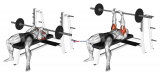 Barbell Reverse Close-grip Bench Press