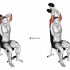Barbell Reverse Close-grip Bench Press