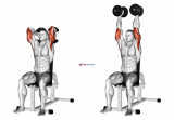 Dumbbells Seated Triceps Extension