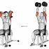 Barbell Glute Bridge Two Legs on Bench (male)