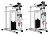 Lever Standing Calf Raise (female)