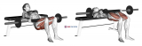 Barbell Hip Thrust (female)