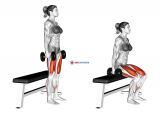 Dumbbell Bench Squat (female)