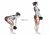 Dumbbell Romanian Deadlift (female)