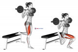 Barbell Single Leg Split Squat (female)