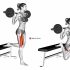 Standing Balance Quadriceps Stretch