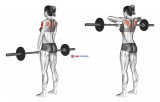 Barbell Upright Row (female)