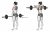 Barbell Upright Row (female)