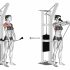 Elbow to Knee Side Plank Crunch (male)