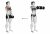 Dumbbell Front Raise (female)
