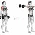 Dumbbell Seated Front Raise (female)