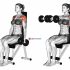 Back Forward Leg Swings (male)