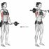Full Squat Mobility