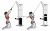 Cable High Row (kneeling rope attachment) (female)