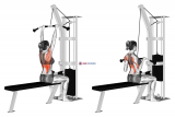 Cable Bar Lateral Pulldown (female)