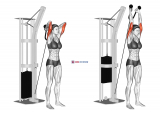 Cable Overhead Triceps Extension (rope attachment) (female)