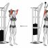 Cable Triceps Pushdown (V bar) (female)