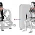 Cable Triceps Pushdown (V bar) (female)