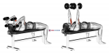 Dumbbell Lying Triceps Extension (female)