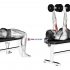 Lever Seated Dip (female)