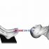 Barbell Bent Over Row (female)