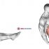 Dumbbell Bench Squat (female)