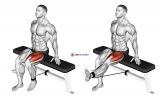 Band Seated Leg Extension (male)