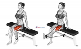 Band Seated Leg Extension (female)