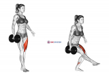 Dumbbell Single Leg Squat (female)