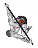 Kneeling T Spine Mobility