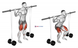Barbell Banded Squat