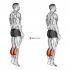 Bodyweight Pulse Squat