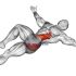 Inverted Underhand Grip Row between Chairs