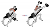 Dumbbell Incline Y-Raise