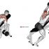Dumbbell Incline T-Raise