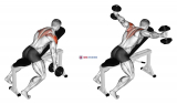 Dumbbell Incline T-Raise