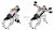 Dumbbell Incline T-Raise