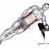 Dumbbell Incline Alternate Press