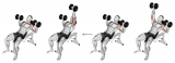 Dumbbell Incline Alternate Press