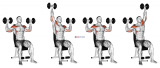Dumbbell Seated Alternate Shoulder