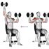 Dumbbell Seated Biceps Curl to Shoulder Press