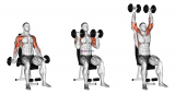 Dumbbell Seated Biceps Curl to Shoulder Press