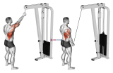 Cable One Arm Pulldown