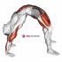 Roll Upper Back