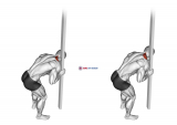 Roll Ball Upper Trapezius Release