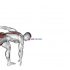 Assisted Obliques Stretch