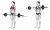 Barbell Curl (female)