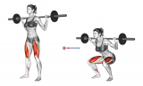 Barbell Squat (female)
