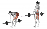 Barbell Straight Leg Deadlift (female)